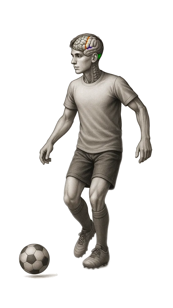 Mentales Coaching im Leistungssport Fußball